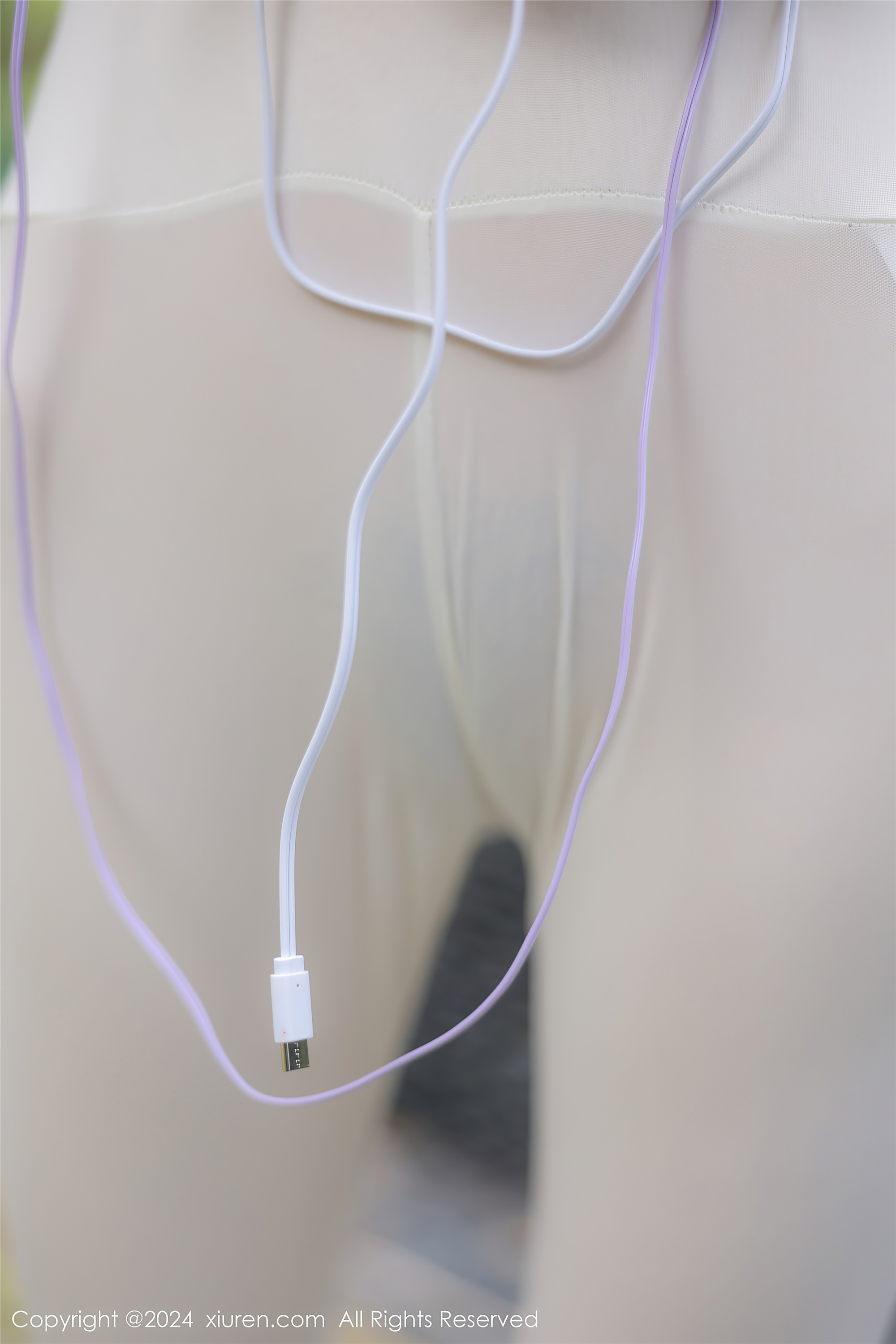 Xiuren秀人网 2024.02.23 NO.8132 桃妖夭